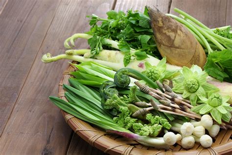 ふきのとう レシピ ～春の訪れを感じる山菜の魅力～