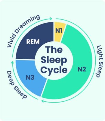 夜分遅く 何時から 眠りの深さを測る