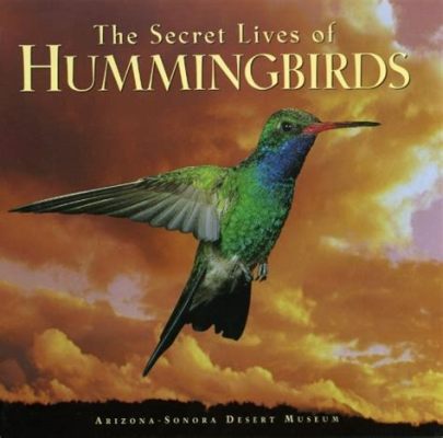  “The Hummingbird’s Secret”：一個關於勇氣、友誼和對自然的敬畏的古老傳說！